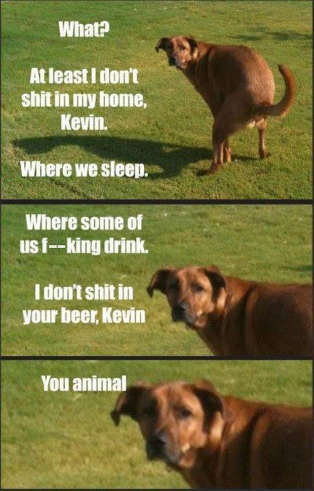 you animal kevin