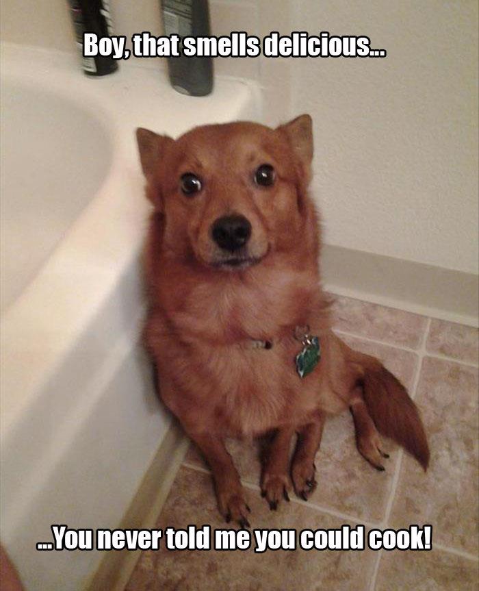 2 funny animals watching you go to the bathroom (6)