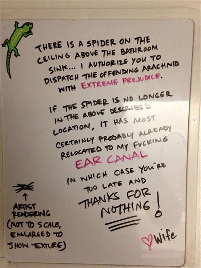 a wife is scared of spiders