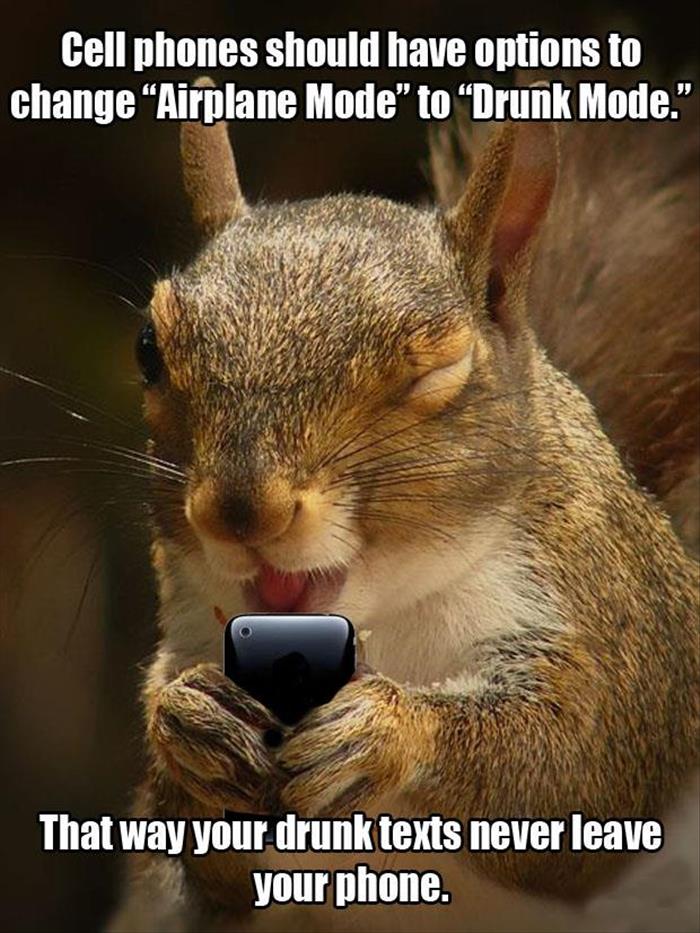 drunk texting squirrel