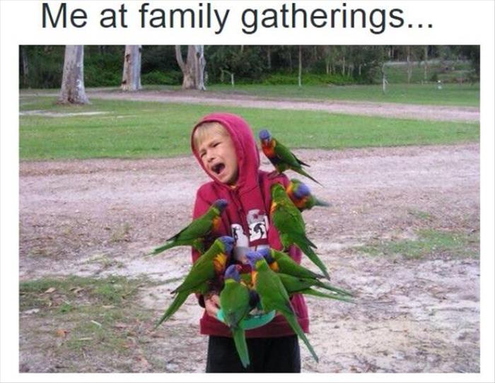 family gatherings