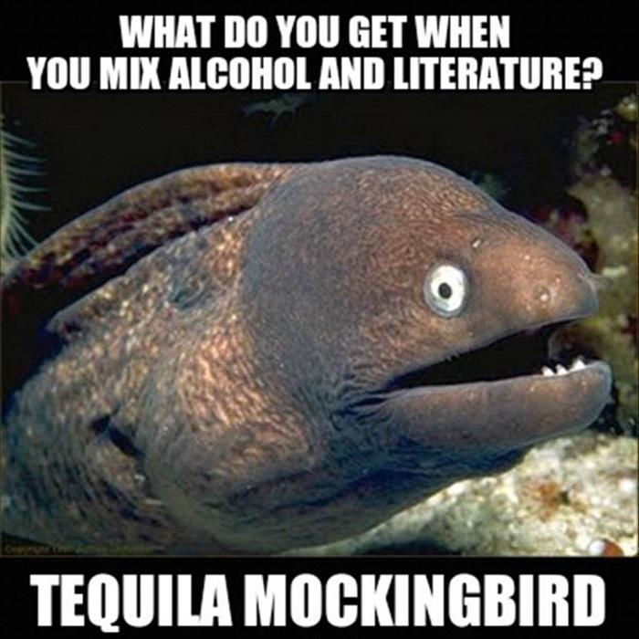 funny alcohol pictures (18)