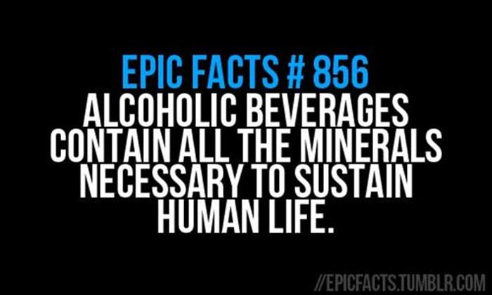 funny alcohol pictures (19)