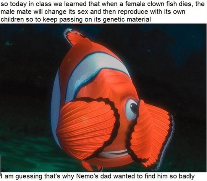 funny pixar nemo dad