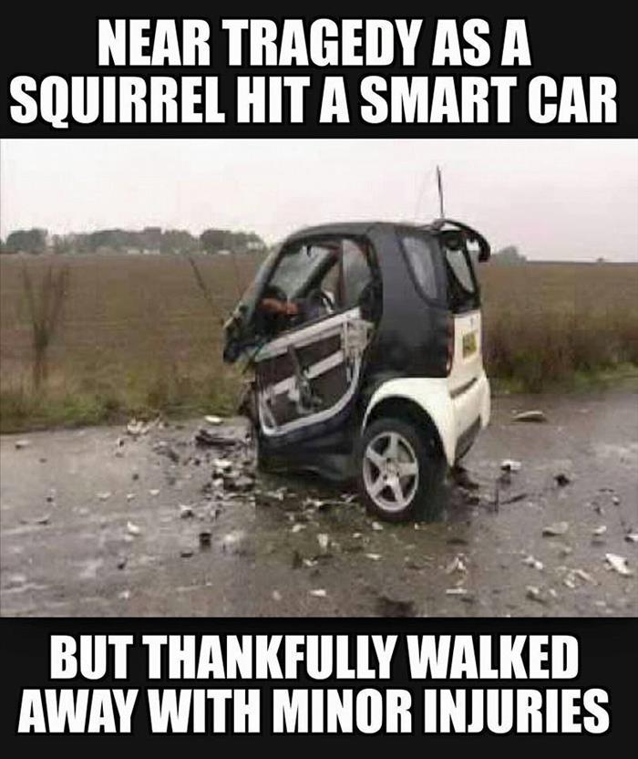 funny smart car