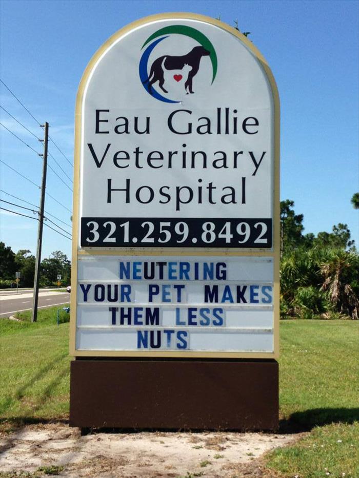 funny vet (1)