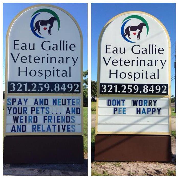 funny vet (2)