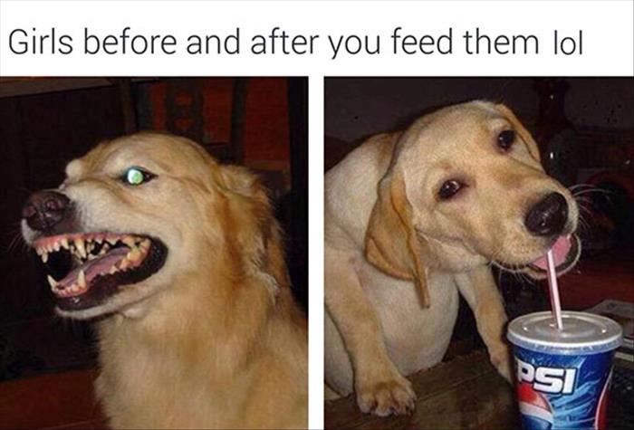 girls before and after you feed them