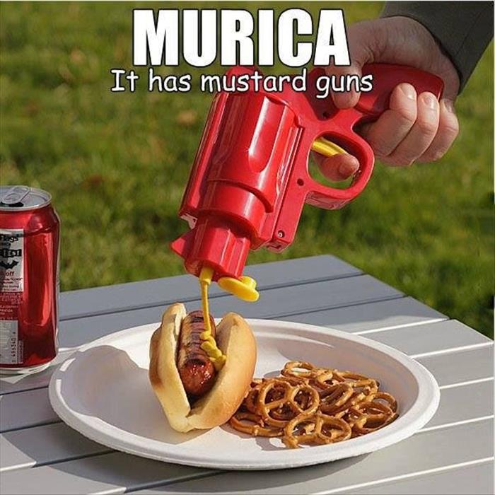 murica guns