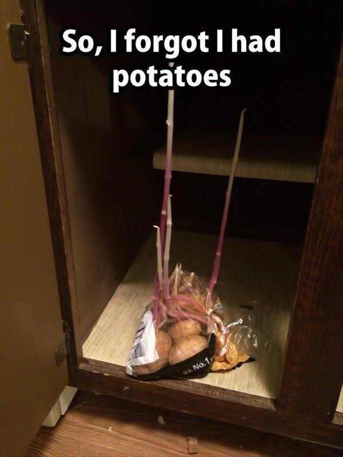 potatoes