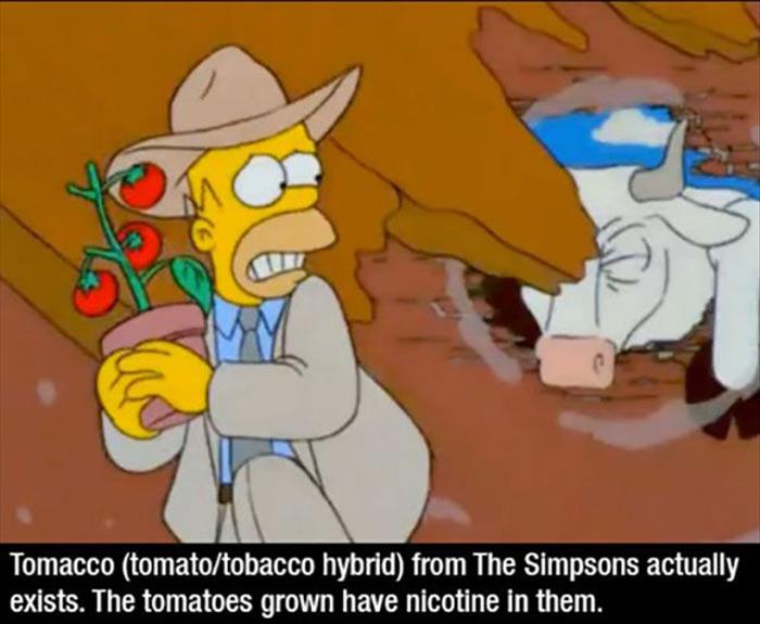 simpson facts (6)