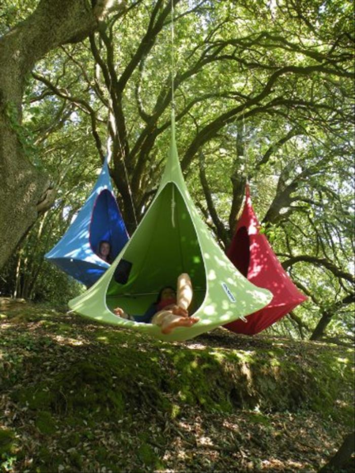 Cacoon Hanging Chairs