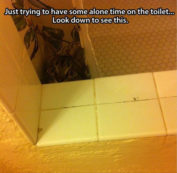 being-alone-in-the-toilet