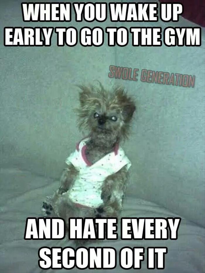 going to the gym early in the morning