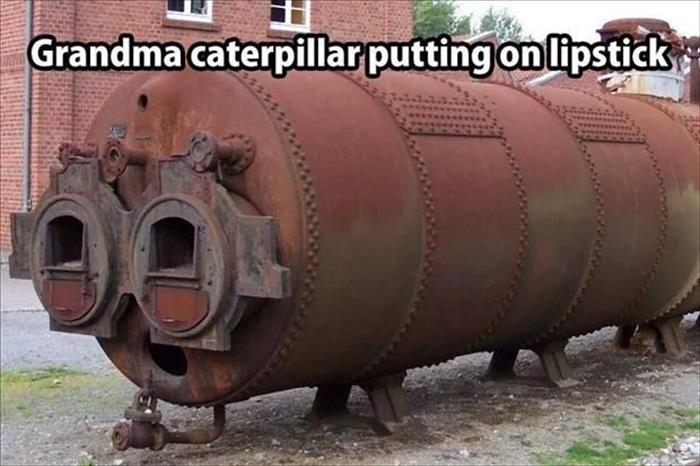 grandma catepillar