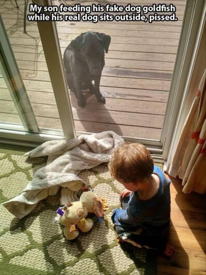 kid feeding dog