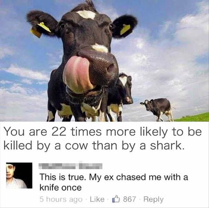 killed by a cow