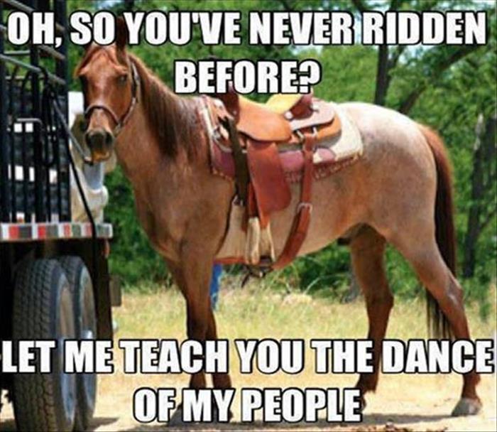 never ridden a horse