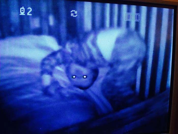 scary baby monitors (3)