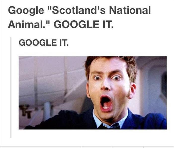 scotland's national animal