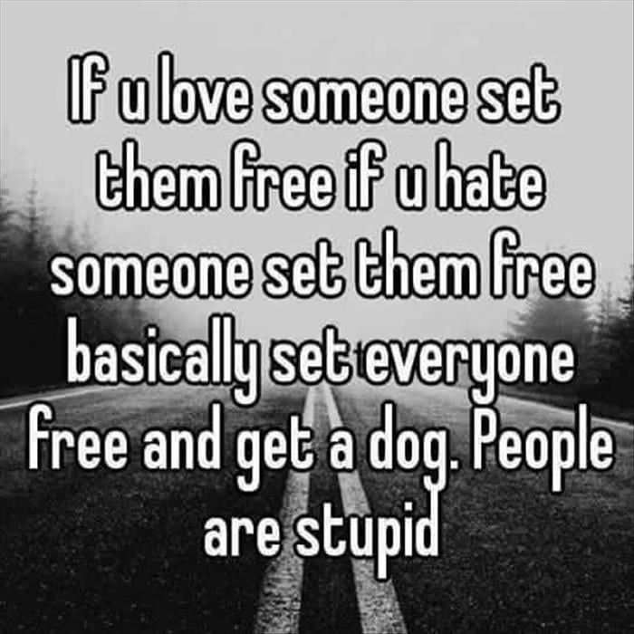 set people free