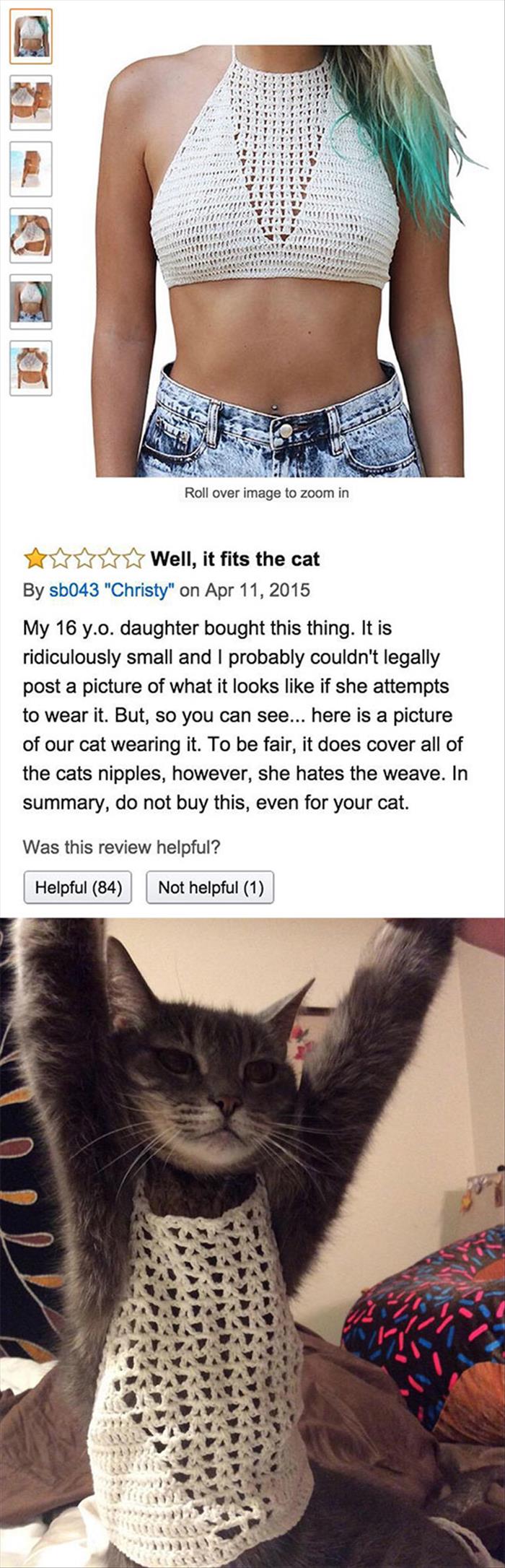 the cat wears it