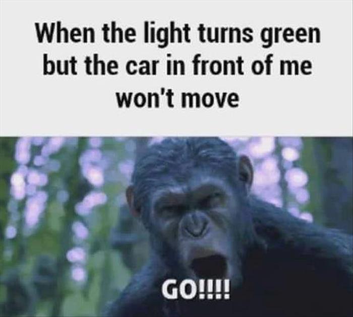 when the light turns green