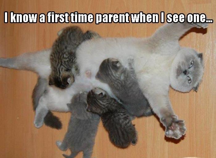 a first time parent