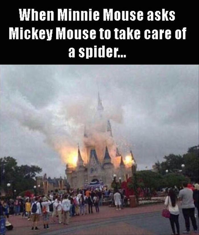 a what did you do mickey mouse copy