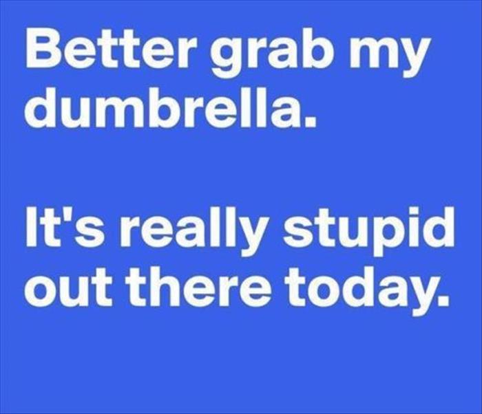 b my dumbrella