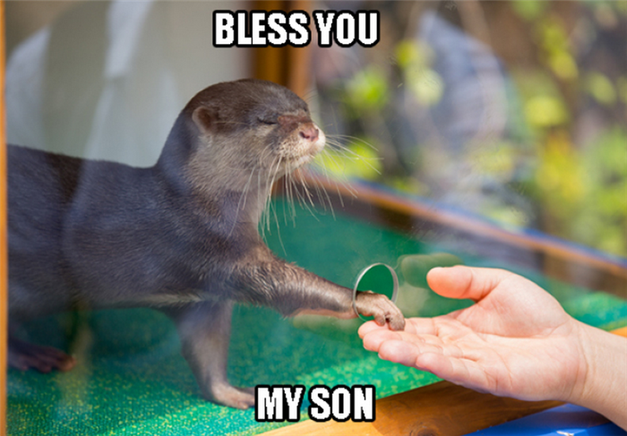 bless you my son