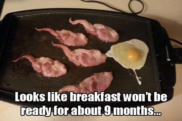 breakfast will be ready in nine months