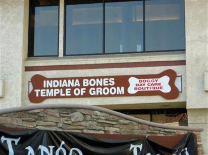 funny business names (17)