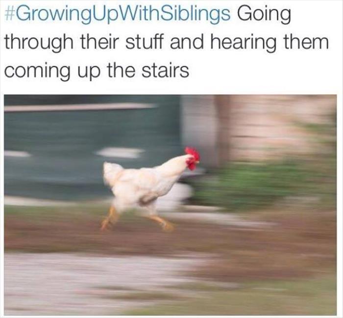 growing up with siblings