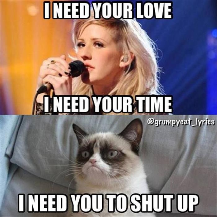 grumpy cat needs