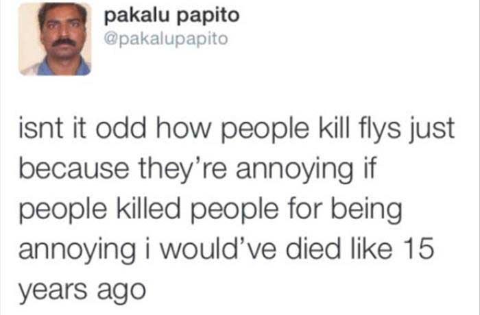 killingflies