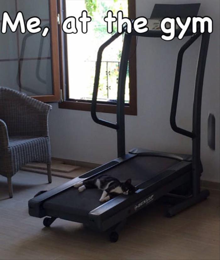 me at the gym