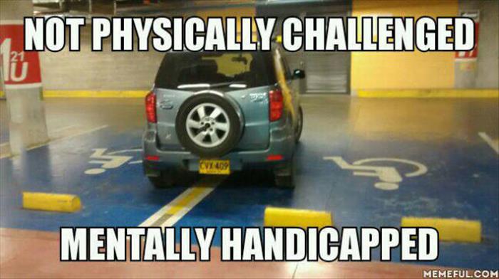 mentally handicap