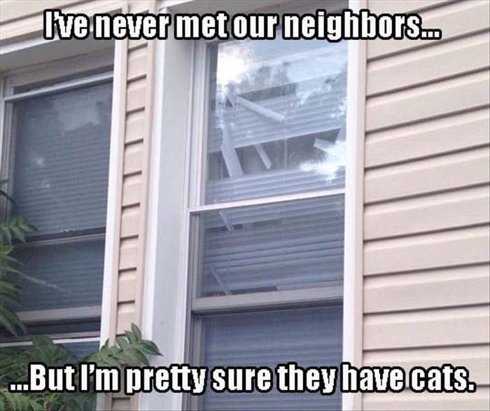 neighbors have cats