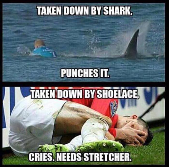 punches-shark.jpg