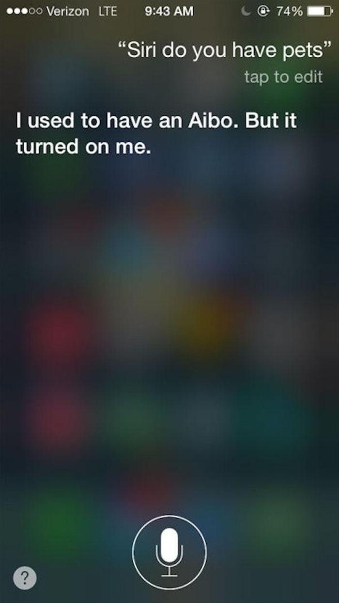 siri funny (11)