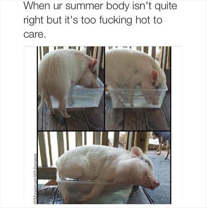 summer body