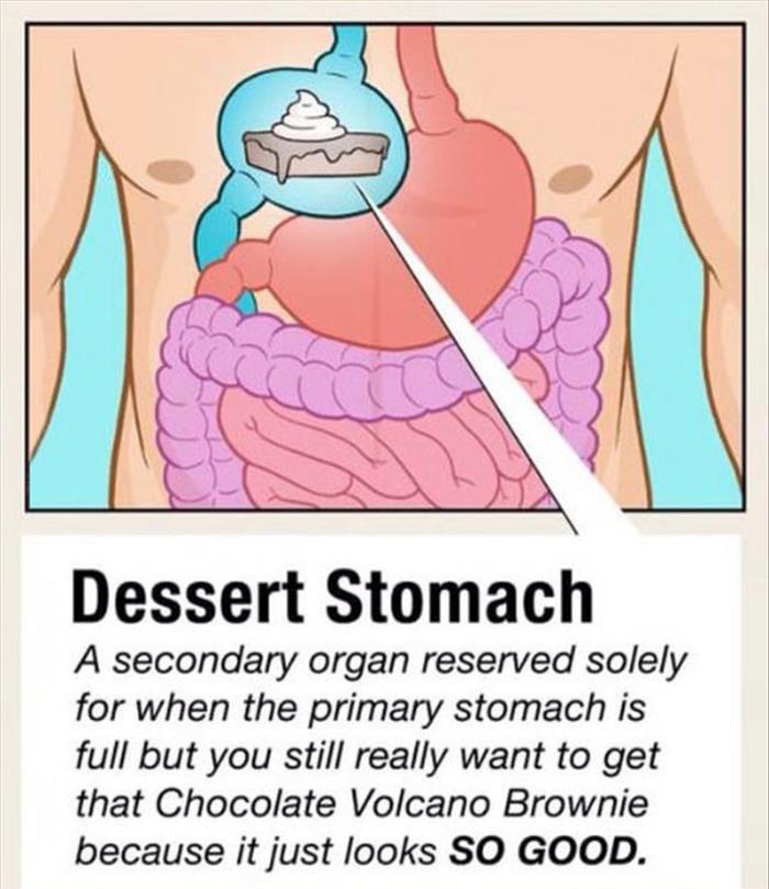 the dessert stomach