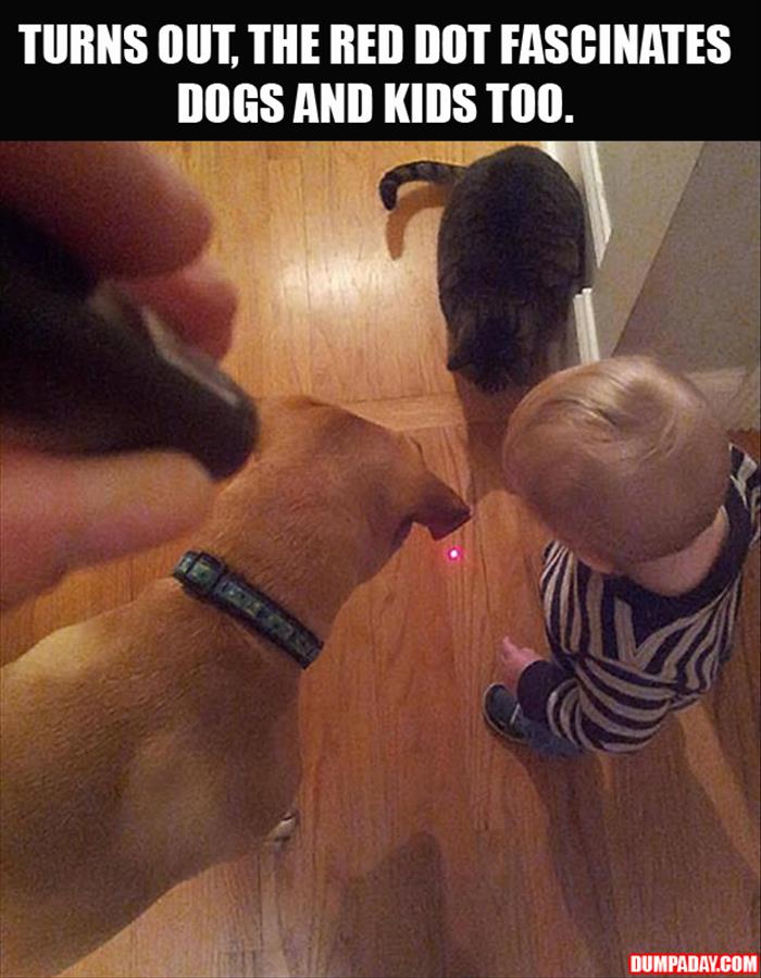 turns-out-it-works-on-dogs-and-kids-too