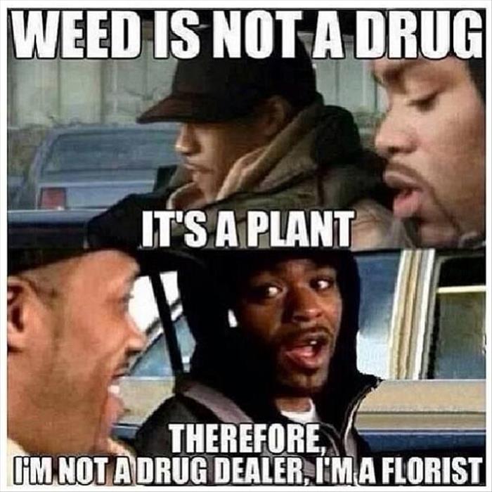 weed is a plant