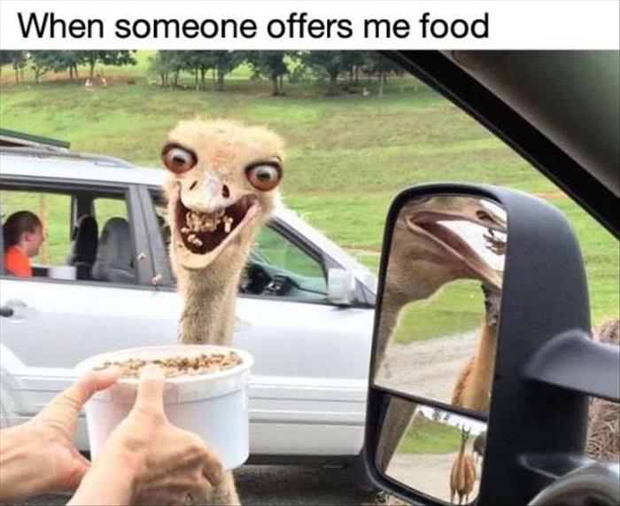 when someone offers me food