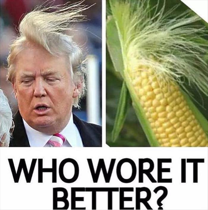 who wore it better