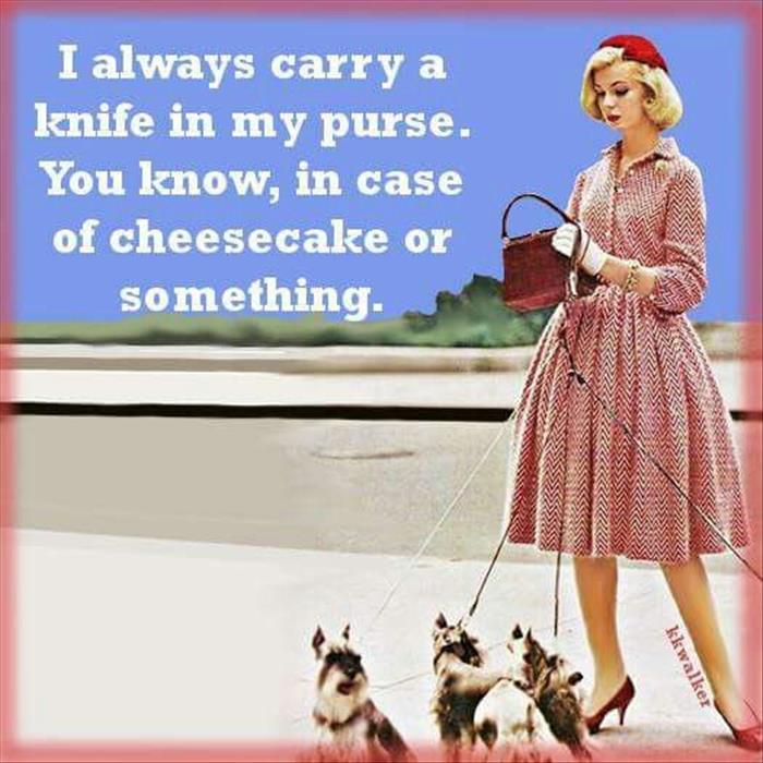 I always carry a knife in my purse