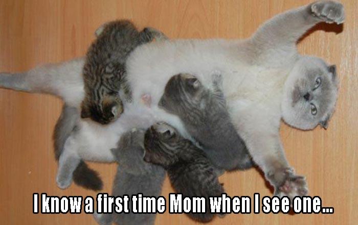 I know a first time mom when I see one