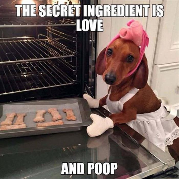 cooking with dog